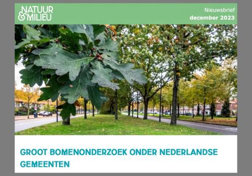 Nieuwsbrief Bomenonderzoek-met-eik'