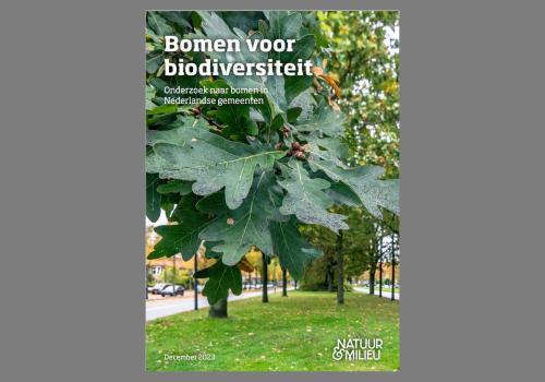 Rapport 'Bomenonderzoek-met-eik'