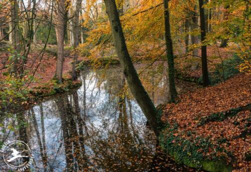 N4 Backershagen (Wassenaar)