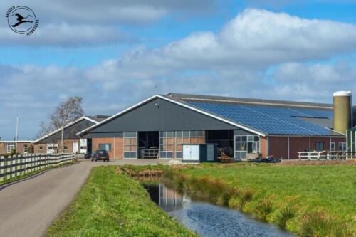 B3 Industriele boerderij met zonnepanelen 