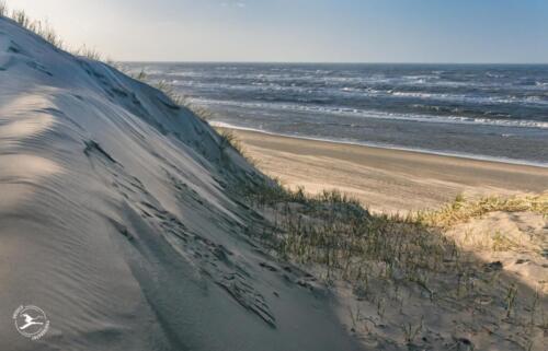 N11. Noorzeestrand vanaf Kennemerduinen in de winter