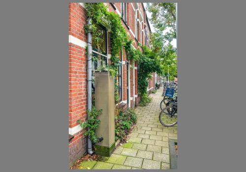 Regenton-van-1-stoeptegel, in diapresentatie van Stichting N&M