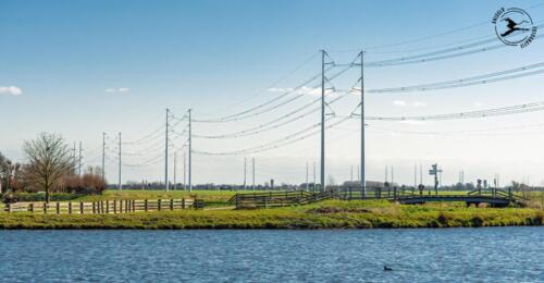 E5 Nieuw type hoogspanningsmast in de polder