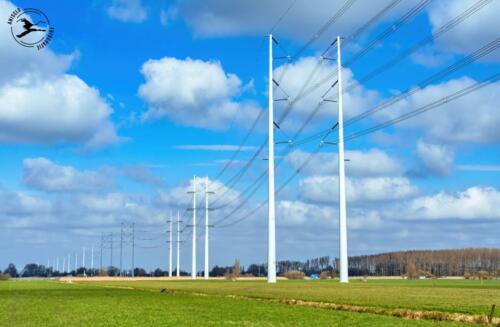 E4 Nieuwe hoogspanningsmasten 