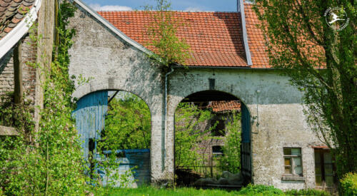 N8 Ruine van een oude boerderij in Zuid-Limburg