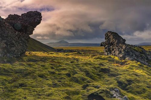 Shutterstock-IJsland, Mossy-vulcanic-landscape-at-Hveragerdi