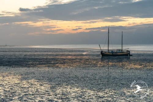 T3. Zonsopkomst over de Wadden