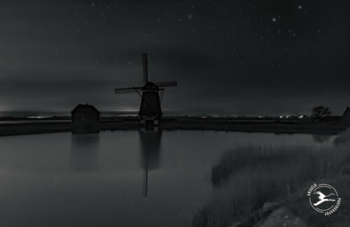 Texel foto  Molen Noord 