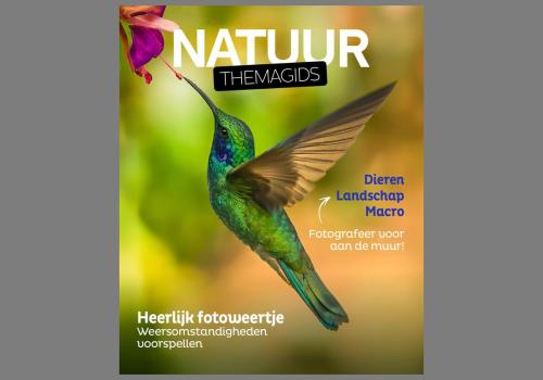 Zoom-titelblad-Violetoor-kolibrie-Themagids-Natuur-canvas