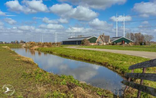 B4 boerderij met zonnepanelen en nieuwe hoogspanningsmasten