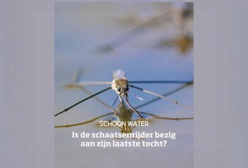 schaatsenrijder
